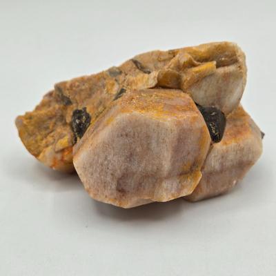 LOT 11X: Mushroom Coral, Raw Amethyst, Smoky Quartz, Amazonite, Agate Geodes, Quartz Crystals, Pyrite Gold, and Various Other Rocks