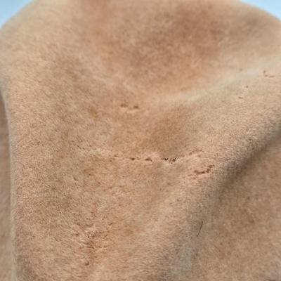 LOT 14X: Multiple Men's and Women's Hats