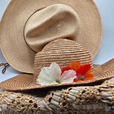 LOT 14X: Multiple Men's and Women's Hats