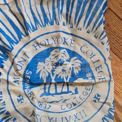 LOT 17Y: Vera Bradley Bag and Multiple Women's Scarves