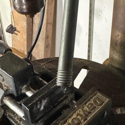 LOT 116G: Dayton 12 Speed Heavy Duty Drill Press DF-12