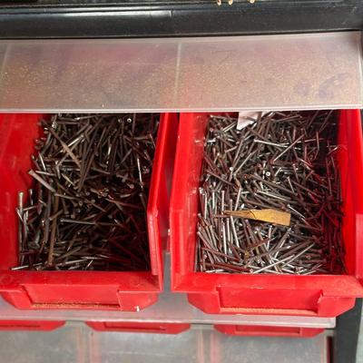 LOT 117G: Hardware Collection w/ Organizers