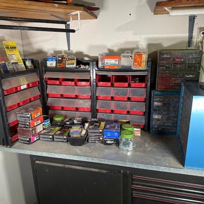 LOT 117G: Hardware Collection w/ Organizers