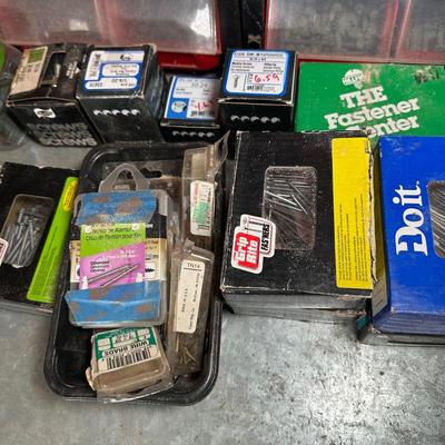 LOT 117G: Hardware Collection w/ Organizers