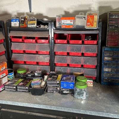 LOT 117G: Hardware Collection w/ Organizers
