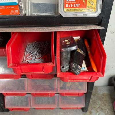 LOT 117G: Hardware Collection w/ Organizers