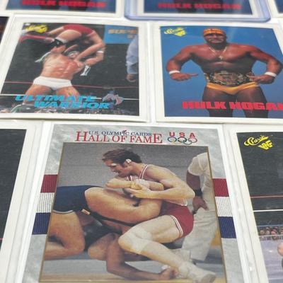 LOT 180J: Vintage Wrestling Cards: Jake the Snake, Bret the Hitman Hart, Macho Man Randy Savage, Hulk Hogan, Andre the Giant and More