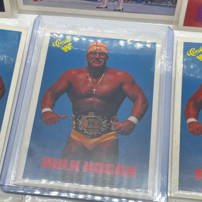 LOT 180J: Vintage Wrestling Cards: Jake the Snake, Bret the Hitman Hart, Macho Man Randy Savage, Hulk Hogan, Andre the Giant and More