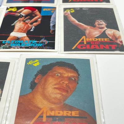 LOT 180J: Vintage Wrestling Cards: Jake the Snake, Bret the Hitman Hart, Macho Man Randy Savage, Hulk Hogan, Andre the Giant and More