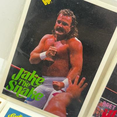 LOT 180J: Vintage Wrestling Cards: Jake the Snake, Bret the Hitman Hart, Macho Man Randy Savage, Hulk Hogan, Andre the Giant and More