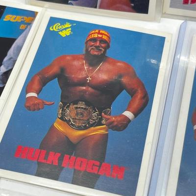 LOT 180J: Vintage Wrestling Cards: Jake the Snake, Bret the Hitman Hart, Macho Man Randy Savage, Hulk Hogan, Andre the Giant and More