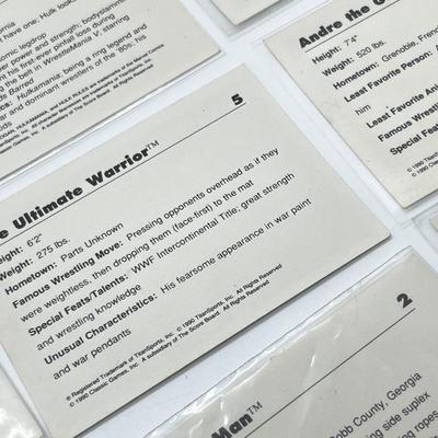 LOT 180J: Vintage Wrestling Cards: Jake the Snake, Bret the Hitman Hart, Macho Man Randy Savage, Hulk Hogan, Andre the Giant and More