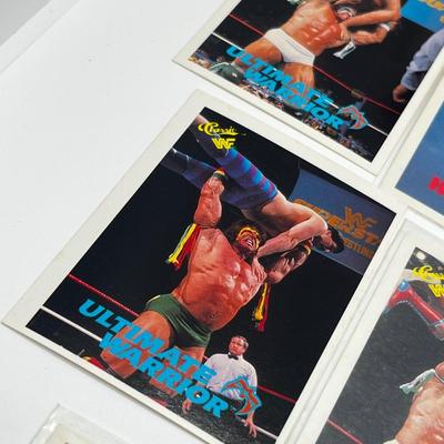 LOT 180J: Vintage Wrestling Cards: Jake the Snake, Bret the Hitman Hart, Macho Man Randy Savage, Hulk Hogan, Andre the Giant and More