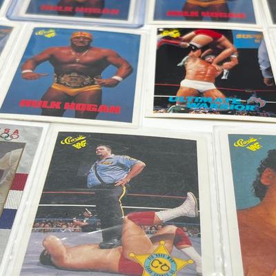 LOT 180J: Vintage Wrestling Cards: Jake the Snake, Bret the Hitman Hart, Macho Man Randy Savage, Hulk Hogan, Andre the Giant and More