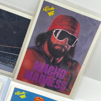 LOT 180J: Vintage Wrestling Cards: Jake the Snake, Bret the Hitman Hart, Macho Man Randy Savage, Hulk Hogan, Andre the Giant and More