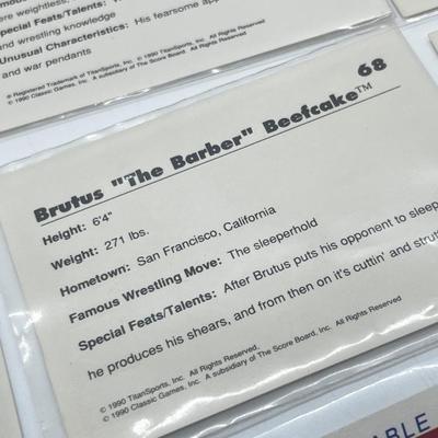 LOT 180J: Vintage Wrestling Cards: Jake the Snake, Bret the Hitman Hart, Macho Man Randy Savage, Hulk Hogan, Andre the Giant and More