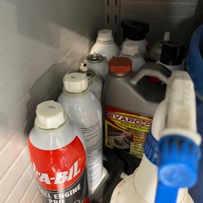 Lot 419 second shelf of metal cabinet with automotive chemicals