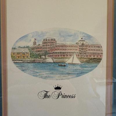 “The Princess” Framed Print