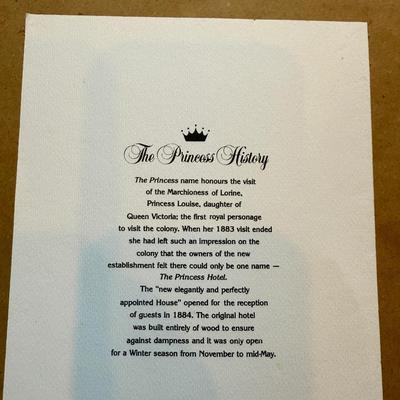 “The Princess” Framed Print