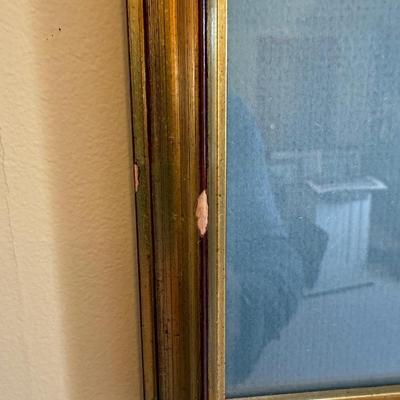 “The Princess” Framed Print