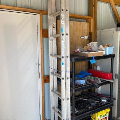 Lot 441 extension ladder - 9ft 2 in
