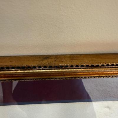 Framed Artwork Pair, Columbia Jay by J. Stinson Vaught