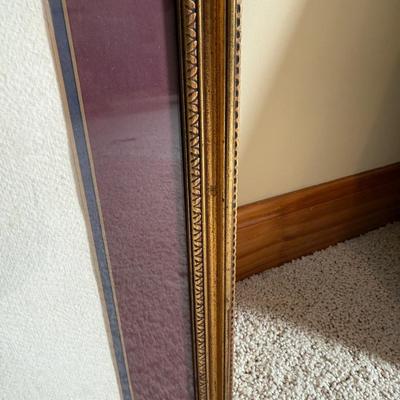 Framed Artwork Pair, Columbia Jay by J. Stinson Vaught