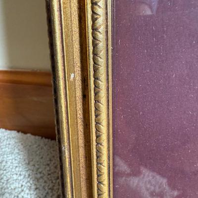 Framed Artwork Pair, Columbia Jay by J. Stinson Vaught