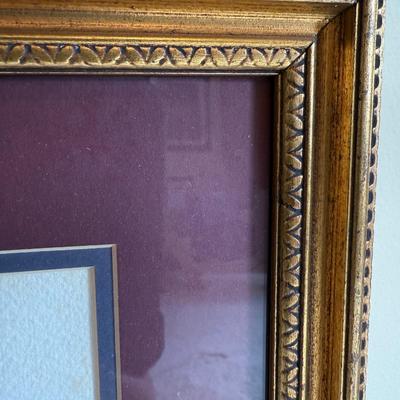 Framed Artwork Pair, Columbia Jay by J. Stinson Vaught