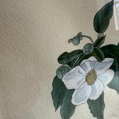 Framed Artwork Pair, Columbia Jay by J. Stinson Vaught