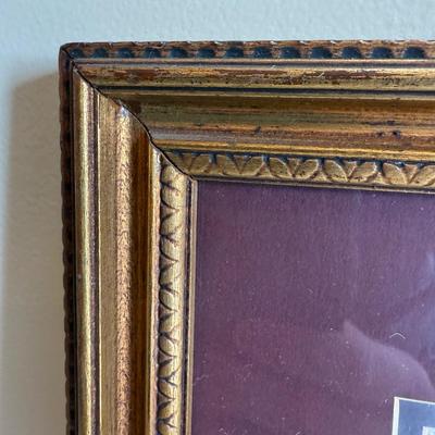Framed Artwork Pair, Columbia Jay by J. Stinson Vaught