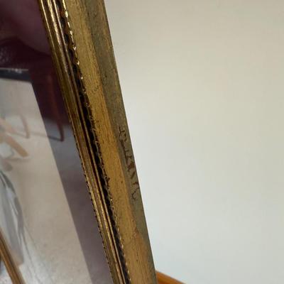 Framed Artwork Pair, Columbia Jay by J. Stinson Vaught