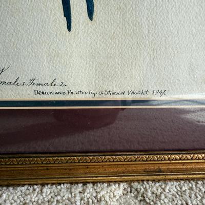 Framed Artwork Pair, Columbia Jay by J. Stinson Vaught