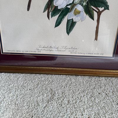 Framed Artwork Pair, Columbia Jay by J. Stinson Vaught