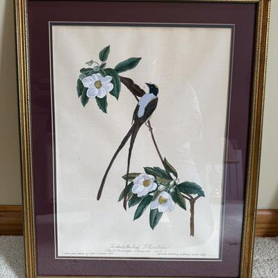 Framed Artwork Pair, Columbia Jay by J. Stinson Vaught