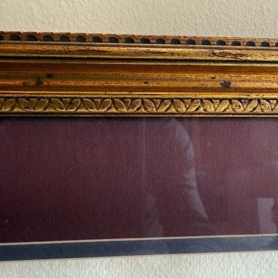Framed Artwork Pair, Columbia Jay by J. Stinson Vaught