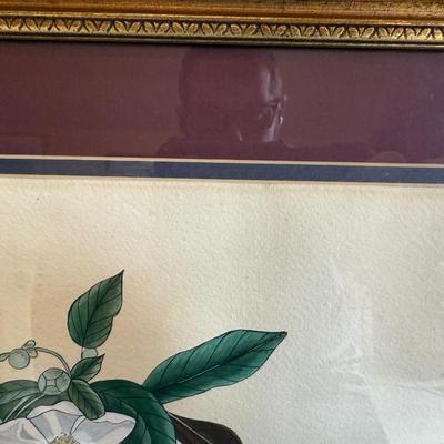 Framed Artwork Pair, Columbia Jay by J. Stinson Vaught