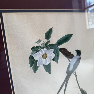 Framed Artwork Pair, Columbia Jay by J. Stinson Vaught