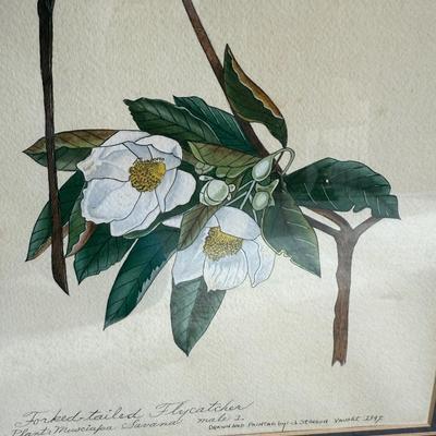 Framed Artwork Pair, Columbia Jay by J. Stinson Vaught