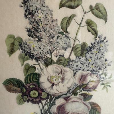 Framed Artwork, “Iris, Roses and Narcissus” and “Bouquet of Lilacs and Roses” by J.L. Prevost