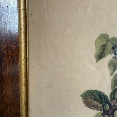 Framed Artwork, “Iris, Roses and Narcissus” and “Bouquet of Lilacs and Roses” by J.L. Prevost