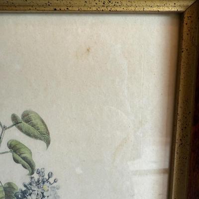 Framed Artwork, “Iris, Roses and Narcissus” and “Bouquet of Lilacs and Roses” by J.L. Prevost