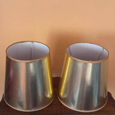 Wire Cage Table Lamps (LR-DZ)