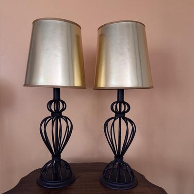 Wire Cage Table Lamps (LR-DZ)