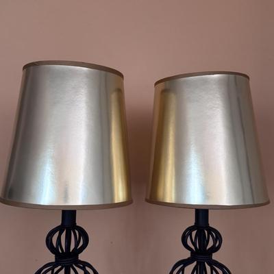Wire Cage Table Lamps (LR-DZ)