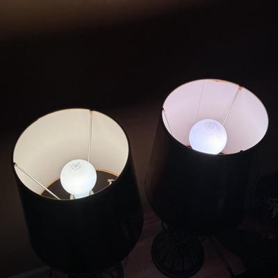 Wire Cage Table Lamps (LR-DZ)