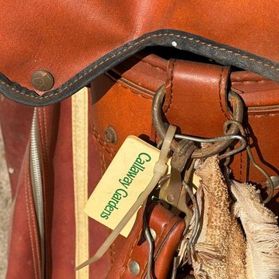 Large Lot of Two Vintage Golf Bags, Clubs and One Pair of Shoes