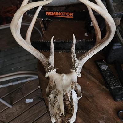 Antlers