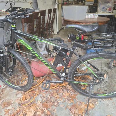 Schwinn boundary