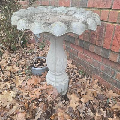 Bird bath